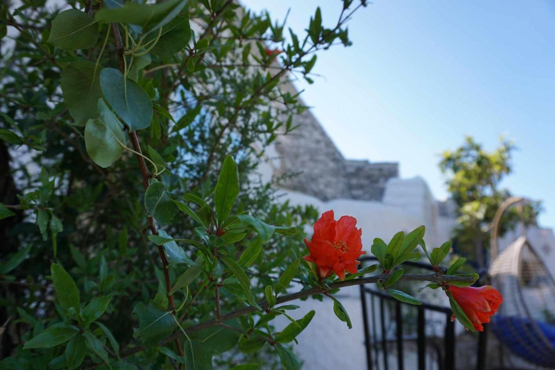 Trullo Biricchino Two Bedroom By Tripostuni Exterior photo